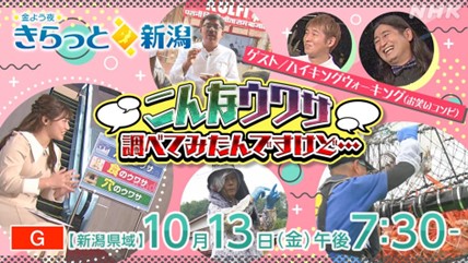 インド　リモート取材